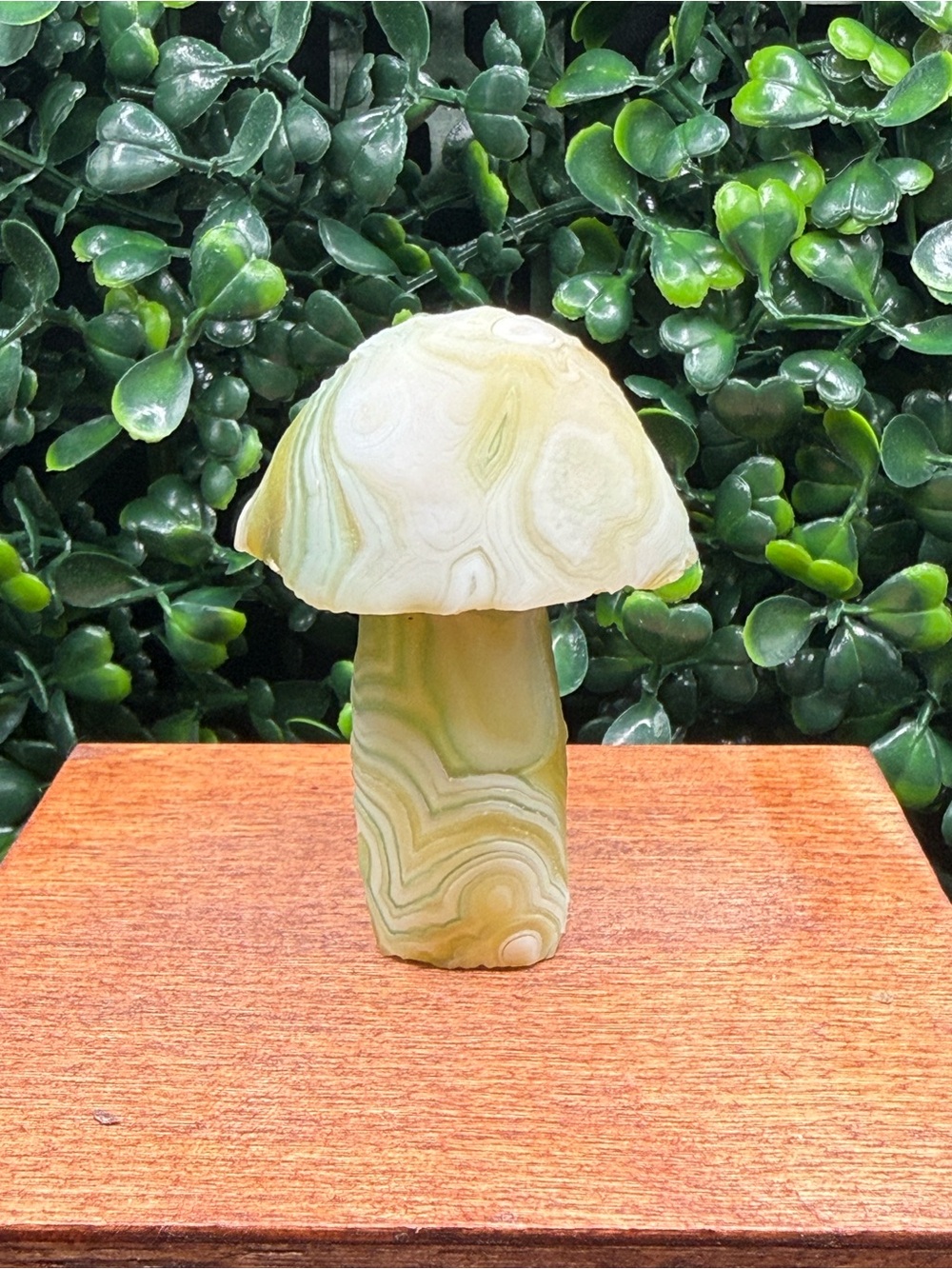 Natural Green Gobi Agate Mushroom Carving